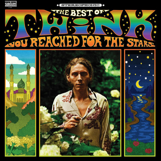 Twink - You Reached For The Stars: The Best Of Twink (Violet Vinyl) (LP) - Joco Records