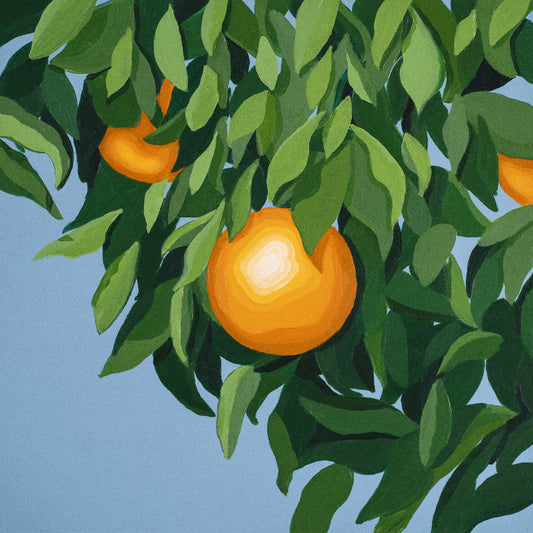 Tyler Ballgame - Again For The First Time