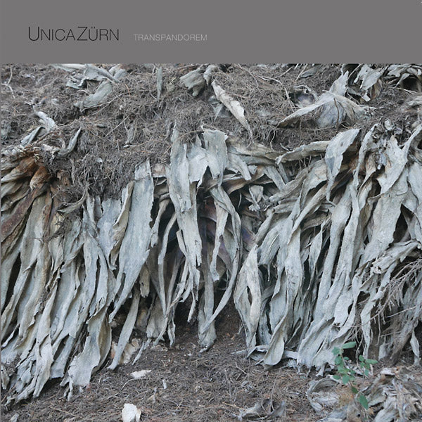 UNICAZURN - Transpandorem