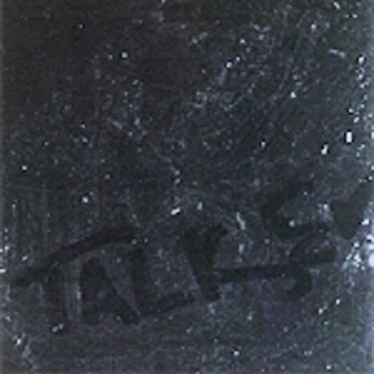 U.S. Maple - Talker (Vinyl) - Joco Records