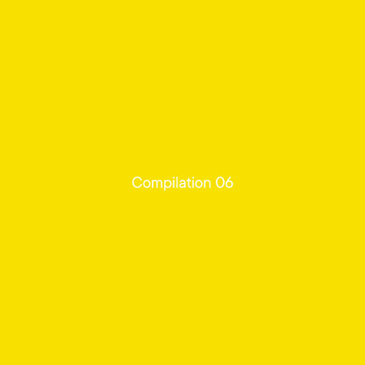 Various Artists - Compilation 06 (Vinyl)