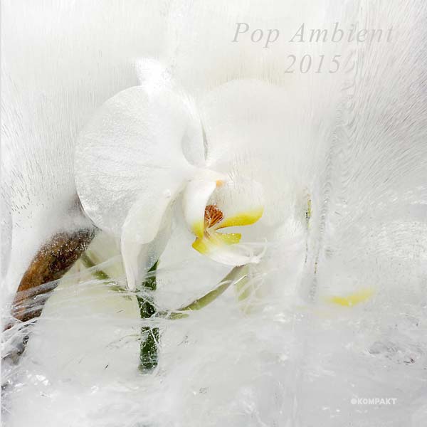 Va - Pop Ambient 2015