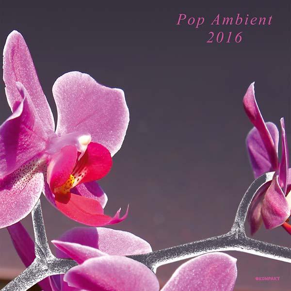 Va - Pop Ambient 2016