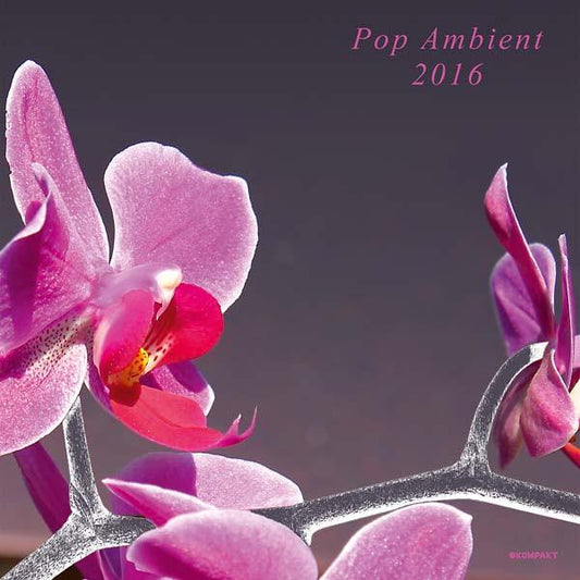 Va - Pop Ambient 2016