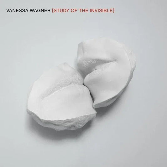Vanessa Wagner - Study Of The Invisible (2 LP) - Joco Records
