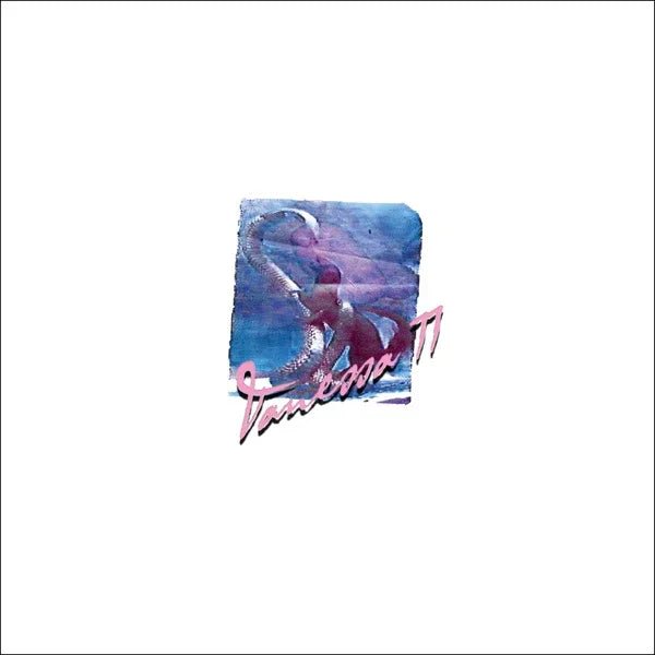 Vanessa Worm - Vanessa 77 (LP) - Joco Records