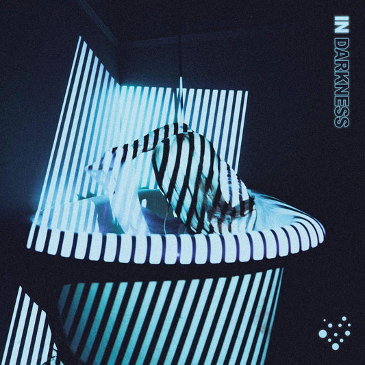Varials - In Darkness (LP) - Joco Records