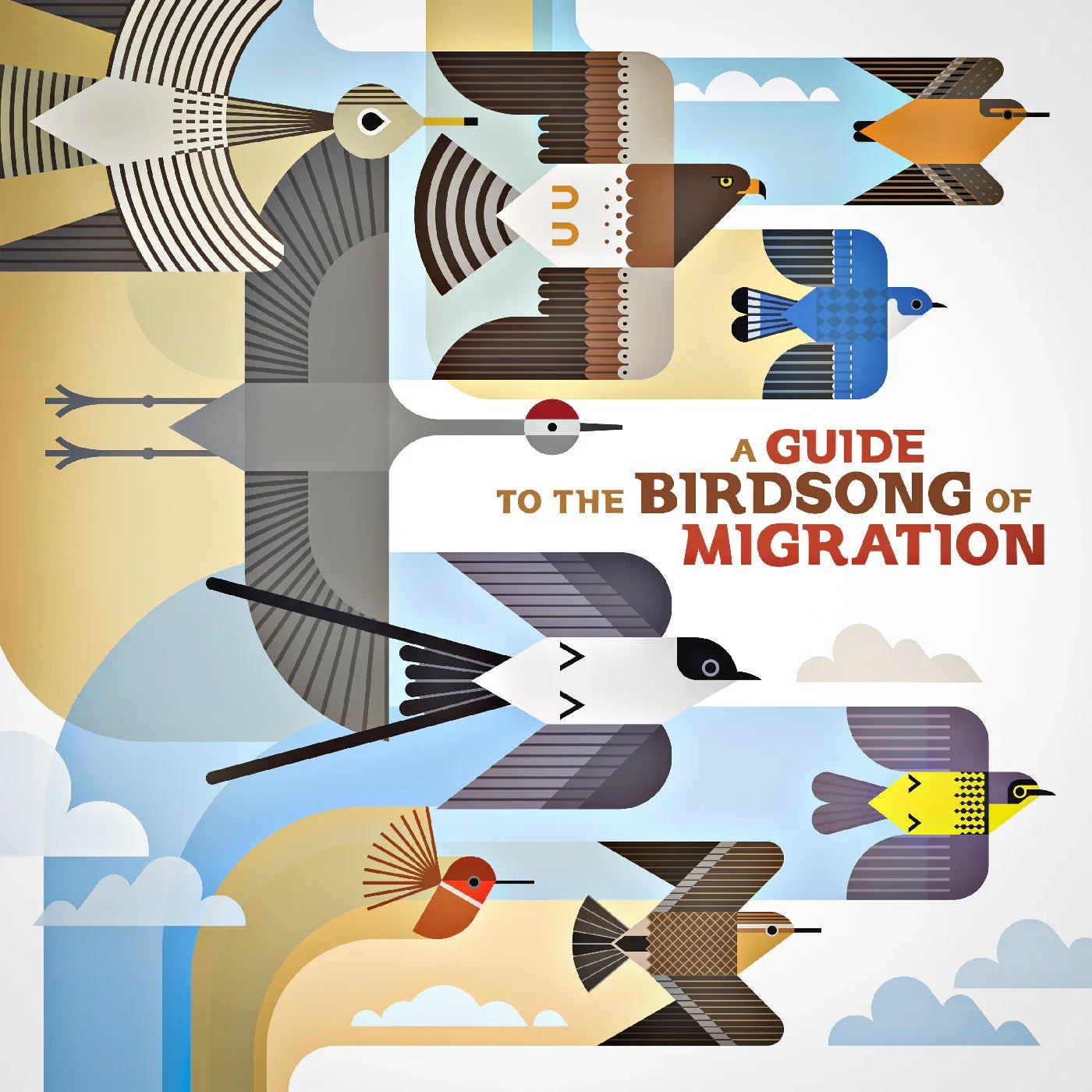 Various Artists - A Guide To The Birdsong Of Migration (LP) - Joco Records