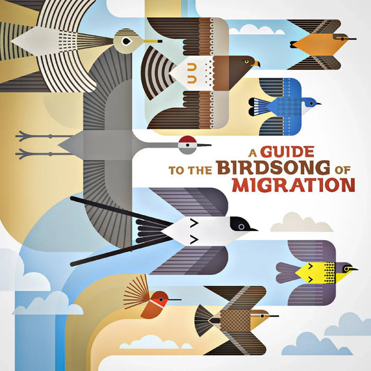 Various Artists - A Guide To The Birdsong Of Migration (LP) - Joco Records