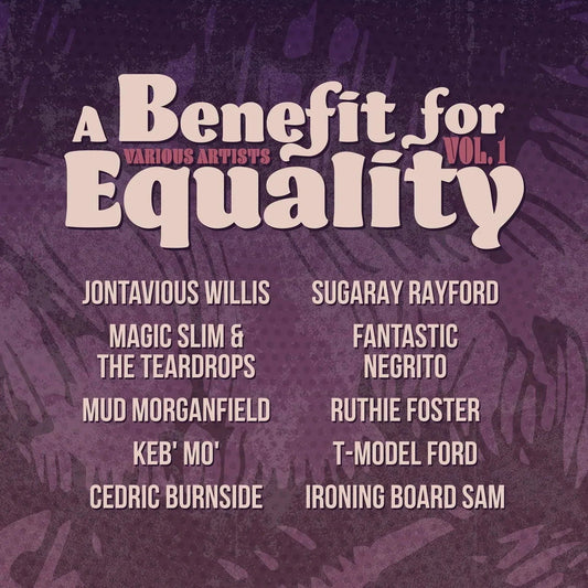 Various Artists - Benefit For Equality 1 (Indie Exclusive, Limited Edition) (LP) - Joco Records