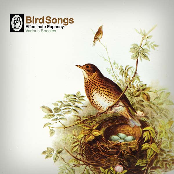 Various Artists - Bird Songs (10 - Inch Vinyl) - Joco Records