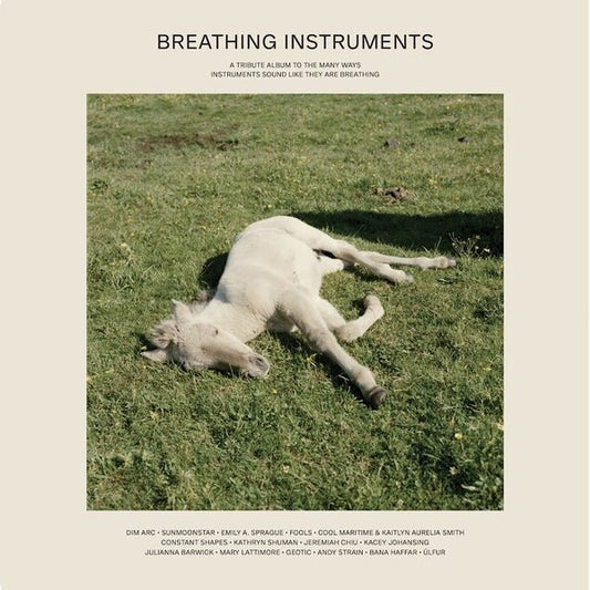 Various Artists - Breathing Instruments (2 LP) - Joco Records
