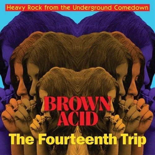Various Artists - Brown Acid: The Fourteenth Trip (LP) - Joco Records