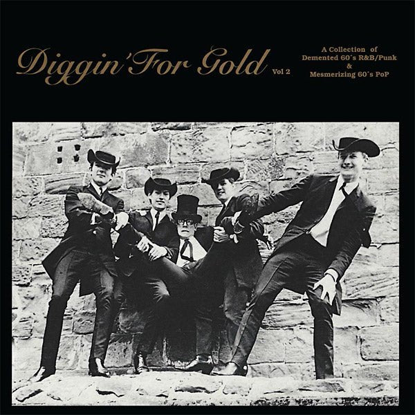 Various Artists - Diggin' For Gold Volume 2 (LP) - Joco Records