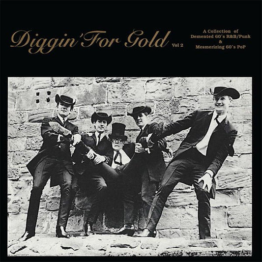 Various Artists - Diggin' For Gold Volume 2 (LP) - Joco Records
