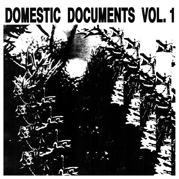 Various Artists - Domestic Documents Vol. 1: Compiled By Butter Sessions And Noise In My Head (Vinyl) - Joco Records