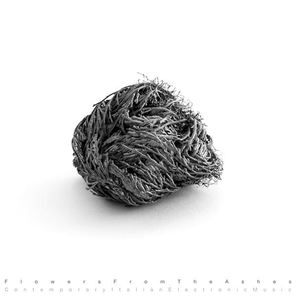 Various Artists - Flowers From The Ashes: Contemporary Italian Electronic Music (12 - Inch Vinyl) - Joco Records