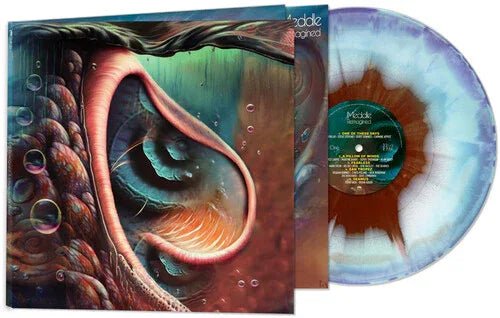 Various Artists - Meddle Reimagined: A Tribute To Pink Floyd (Color Vinyl) (LP) - Joco Records