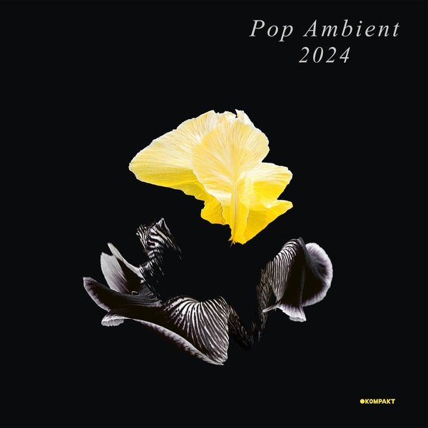 Various Artists - Pop Ambient 2024 (LP) - Joco Records