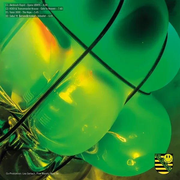 Various Artists - Sachsentrance X Durch (Vinyl) - Joco Records