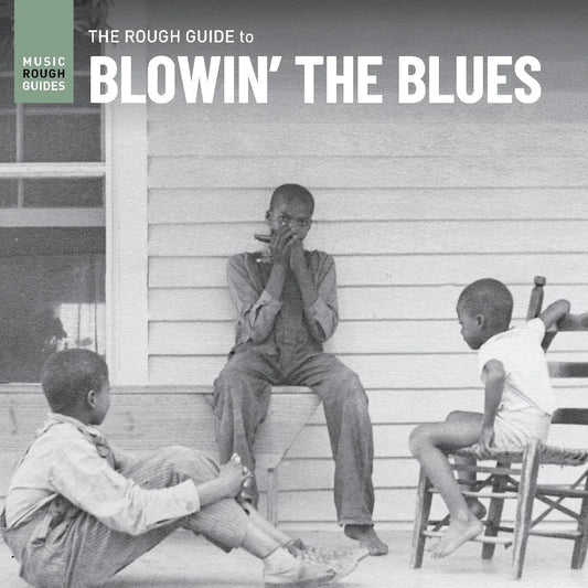 Various Artists - The Rough Guide To Blowin' The Blues (LP) - Joco Records