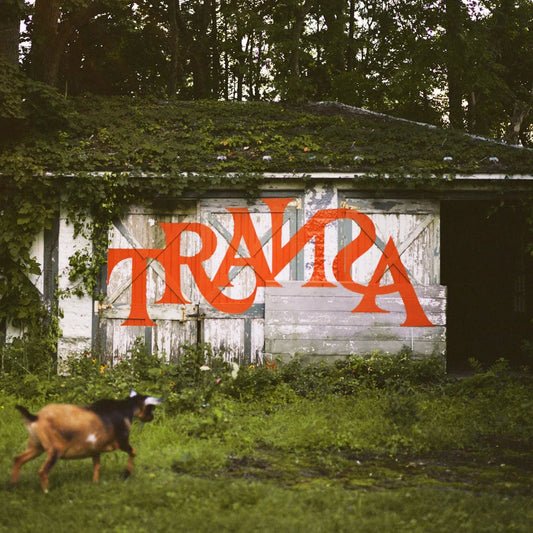Various Artists - Transa (Deluxe Edition) (Vinyl) - Joco Records