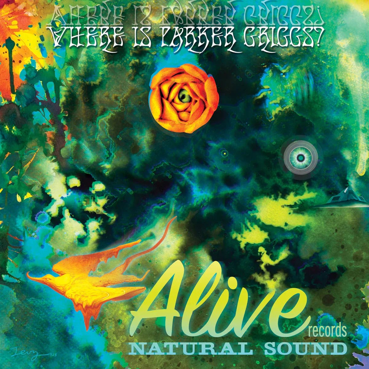 Various Artists - Where Is Parker Griggs? (LP) - Joco Records