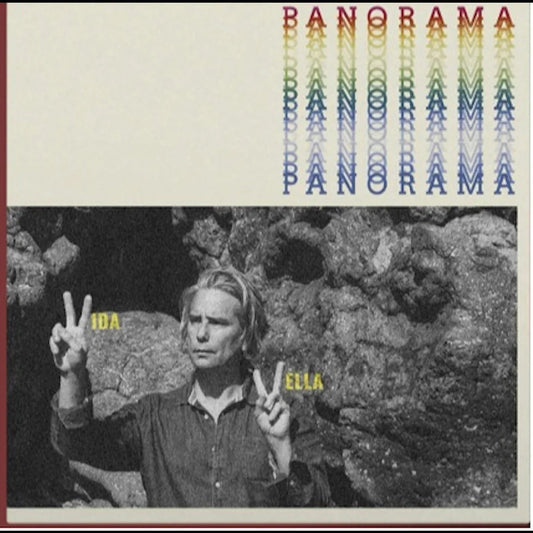 Vida Vella - Panorama (LP) - Joco Records