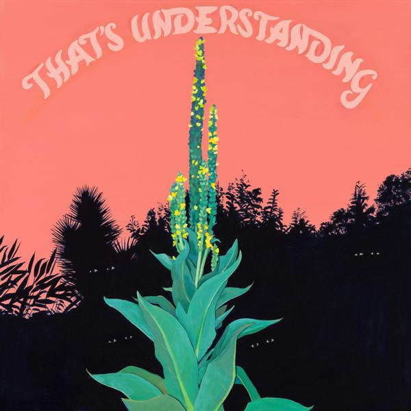 Village Of Spaces - That's Understanding (LP) - Joco Records