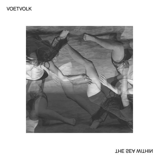 Voetvolk - The Sea Within (LP) - Joco Records