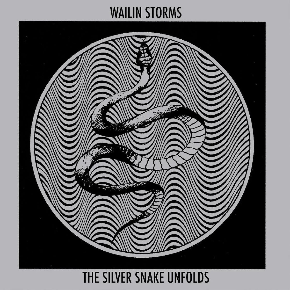 Wailin Storms - The Silver Snake Unfolds (Blue & Black Galaxy Vinyl) (LP) - Joco Records