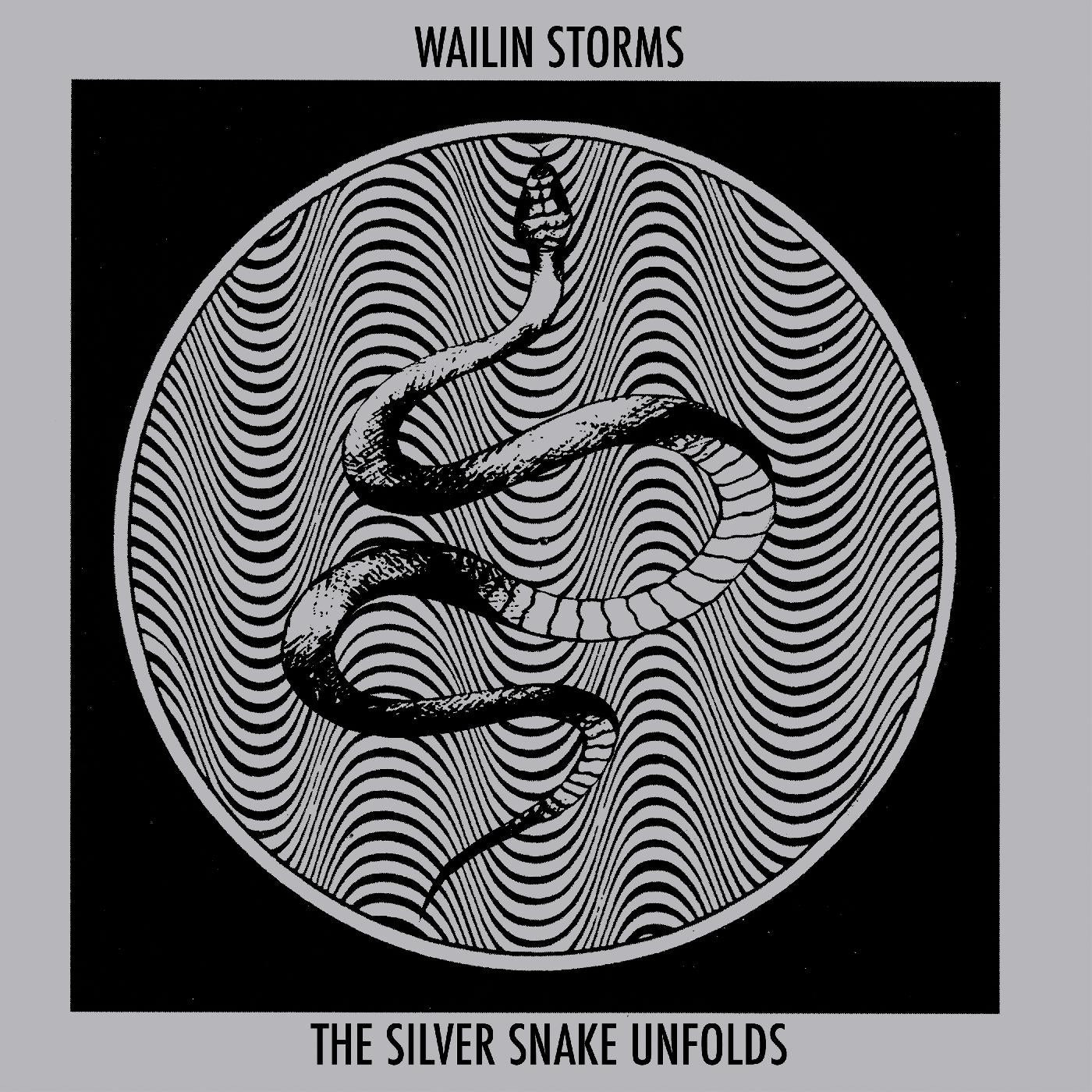 Wailin Storms - The Silver Snake Unfolds (BLUE & BLACK GALAXY VINYL) - Joco Records