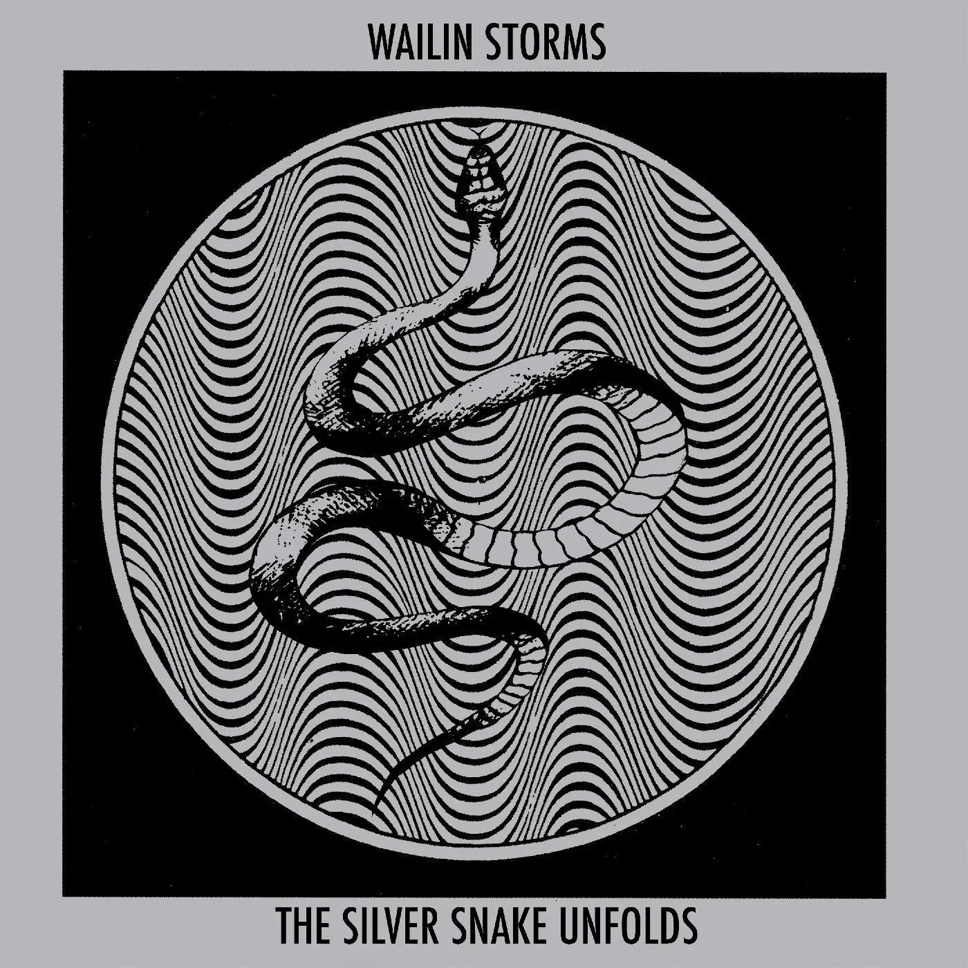 Wailin Storms - The Silver Snake Unfolds (Clear With Blue Color-IN-Color Vinyl) (LP) - Joco Records