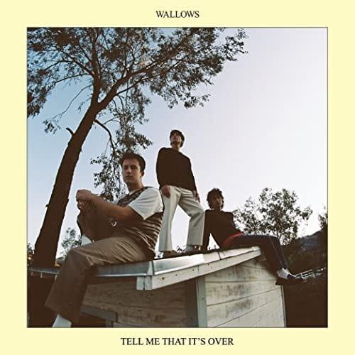 Wallows - Tell Me That It's Over  (Vinyl)