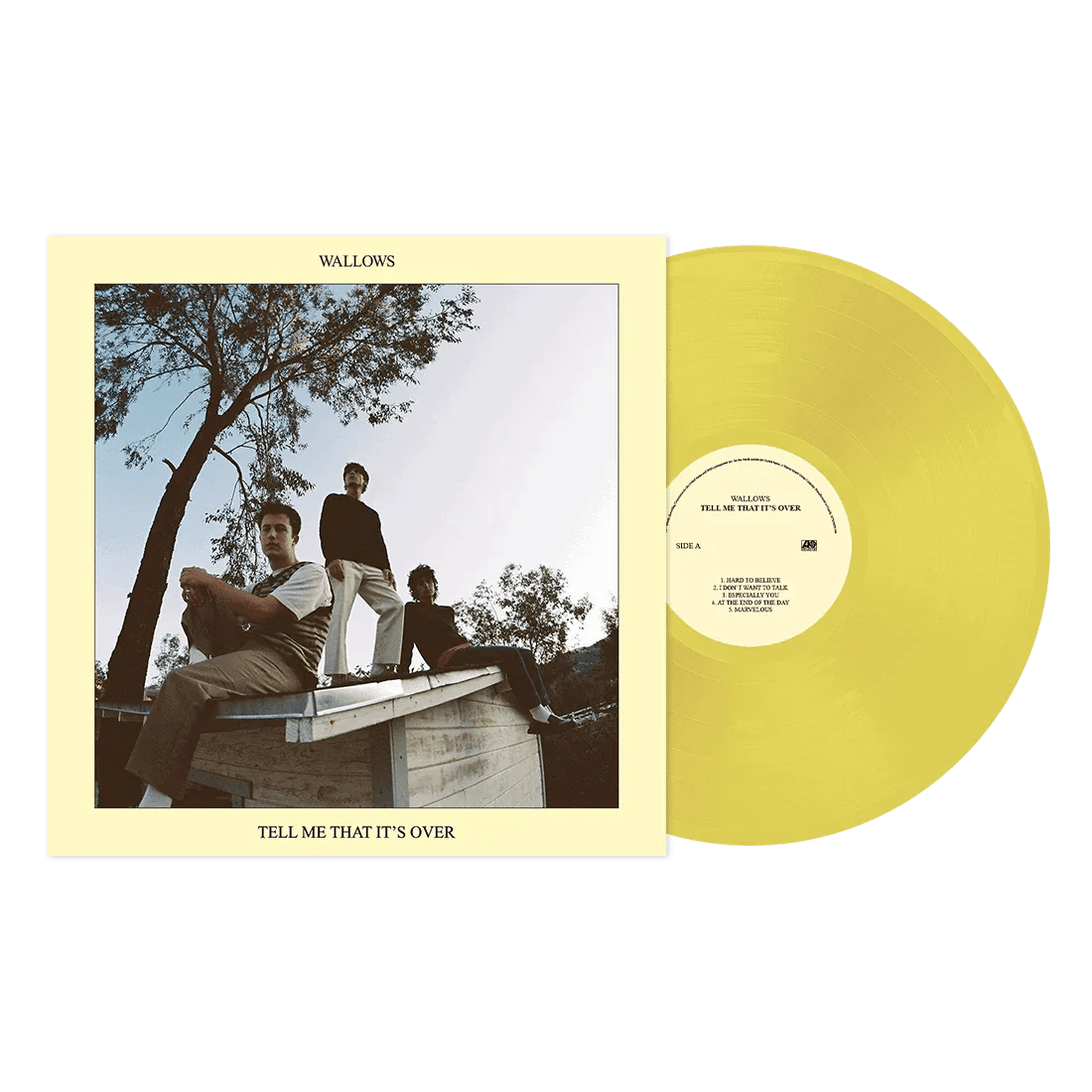 Wallows - Tell Me That It's Over (LP) - Joco Records