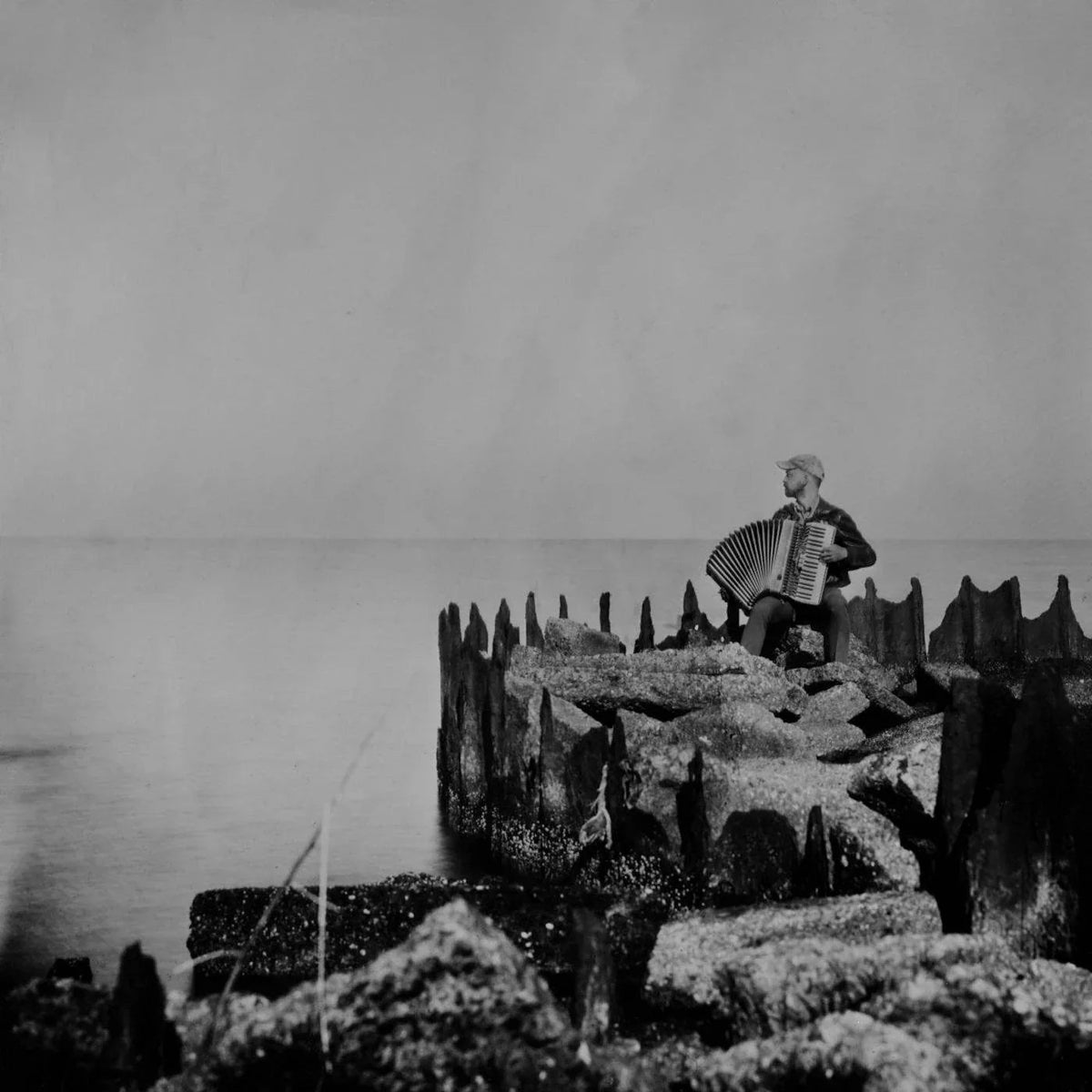 Walt Mcclements - A Hole In The Fence (LP) - Joco Records