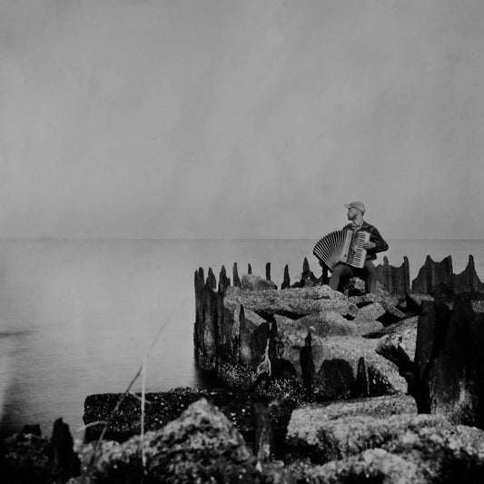 Walt Mcclements - A Hole In The Fence (LP) - Joco Records