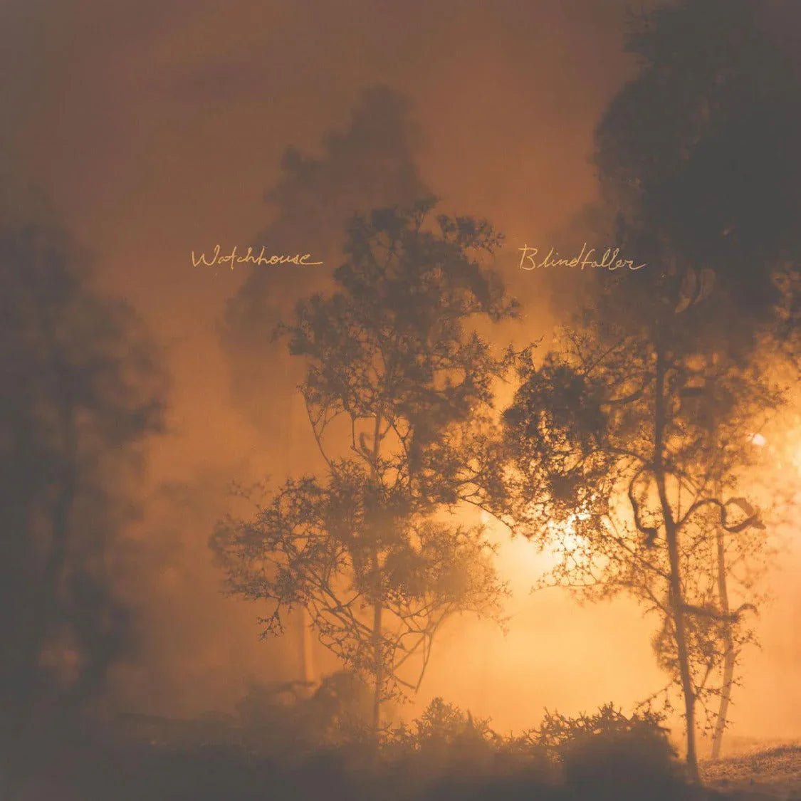 Watchhouse - Blindfaller (Limited Edition, Clear Orange Vinyl) (LP) - Joco Records