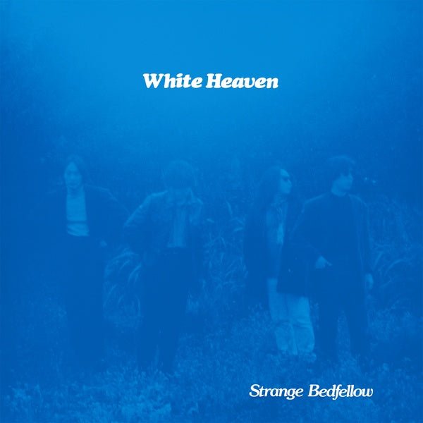 White Heaven - Strange Bedfellow (LP) - Joco Records