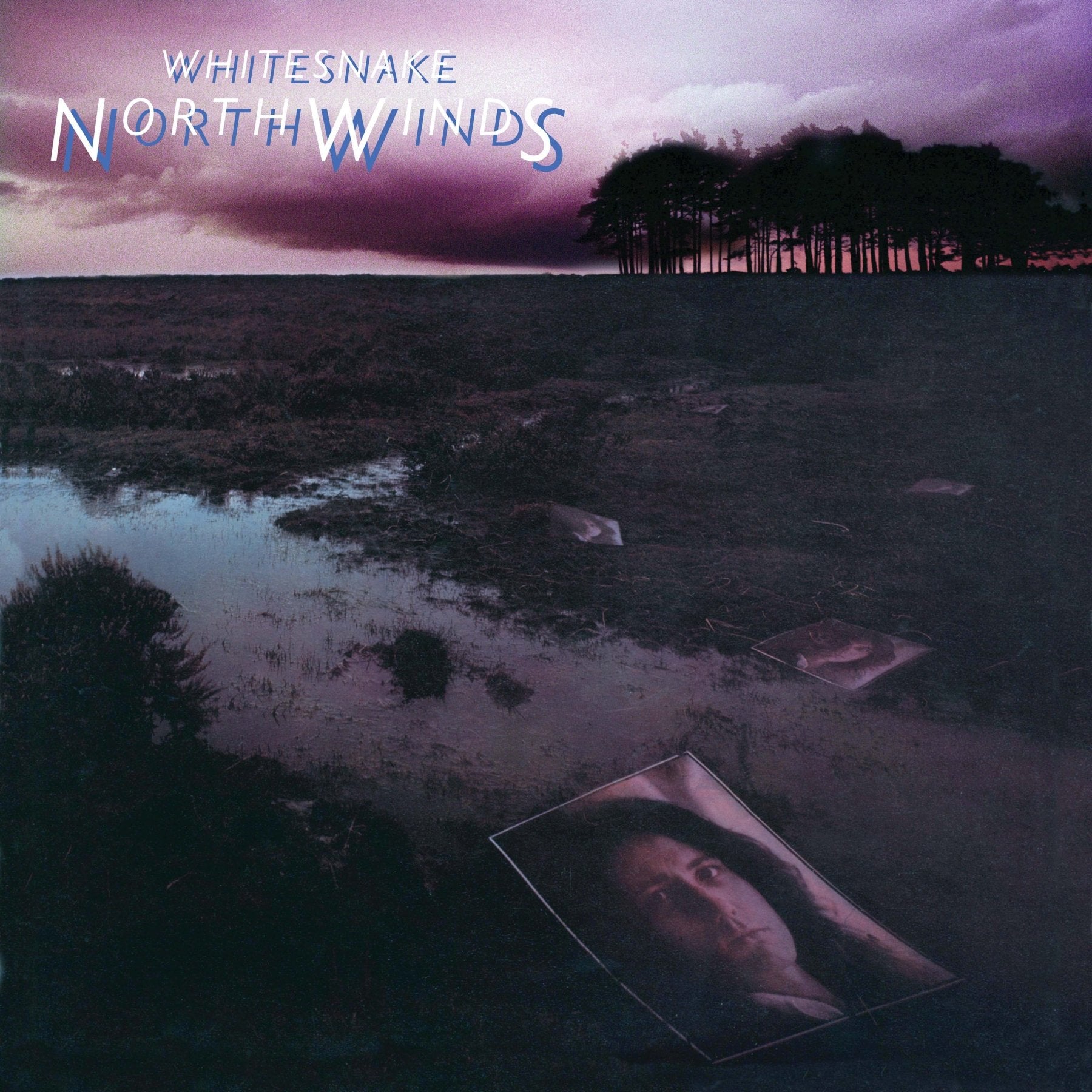 Whitesnake - NorthWinds (Rocktober 2024, Brick & Mortar Exclusive) (LP) - Joco Records