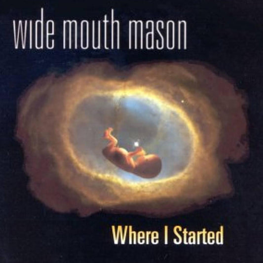 Wide Mouth Mason - Where I Started (Vinyl)