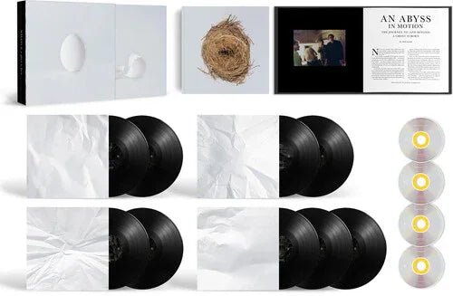 Wilco - A Ghost Is Born (Deluxe Edition) (9 LP/ 4 CD Box Set) (2 LP) - Joco Records