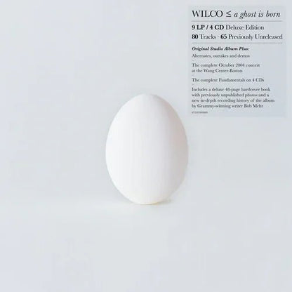Wilco - A Ghost Is Born (Deluxe Edition) (9 LP/ 4 CD Box Set) (2 LP) - Joco Records