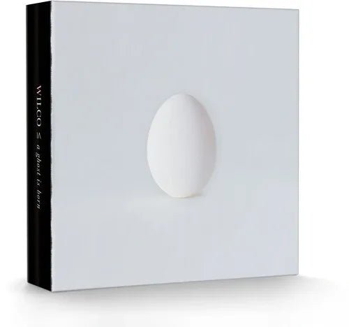 Wilco - A Ghost Is Born (Deluxe Edition) (9 LP/ 4 CD Box Set) (2 LP) - Joco Records