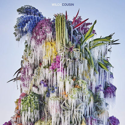 Wilco - Cousin (LP) - Joco Records