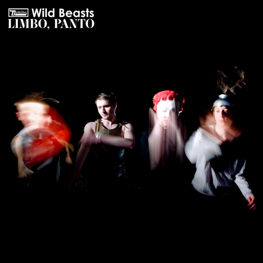 Wild Beasts - Limbo, Panto (Vinyl)