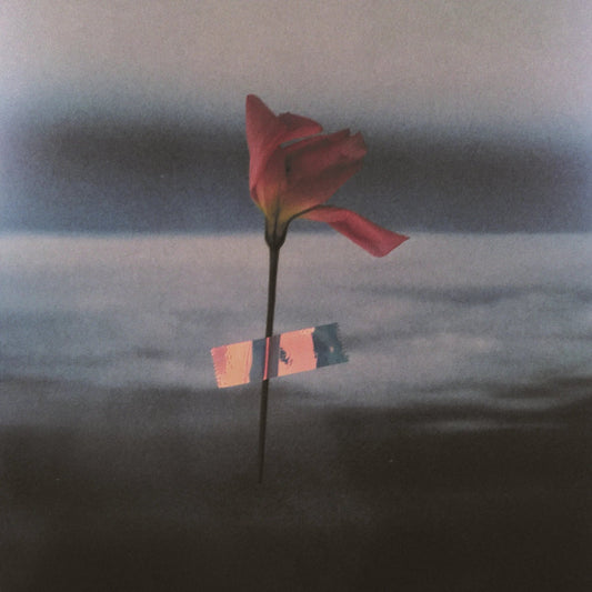 Will Samson - Paralanguage (Clear Vinyl) (LP) - Joco Records