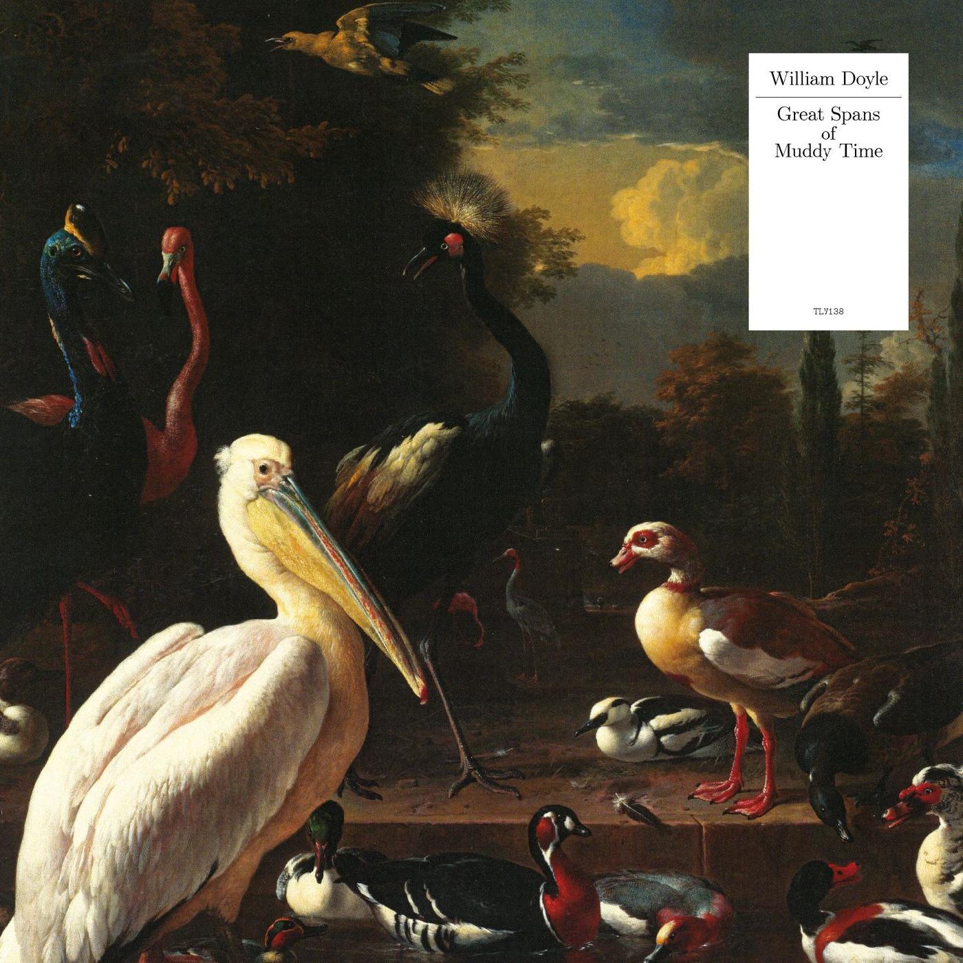 William Doyle - Great Spans Of Muddy Time (White Vinyl) (LP) - Joco Records