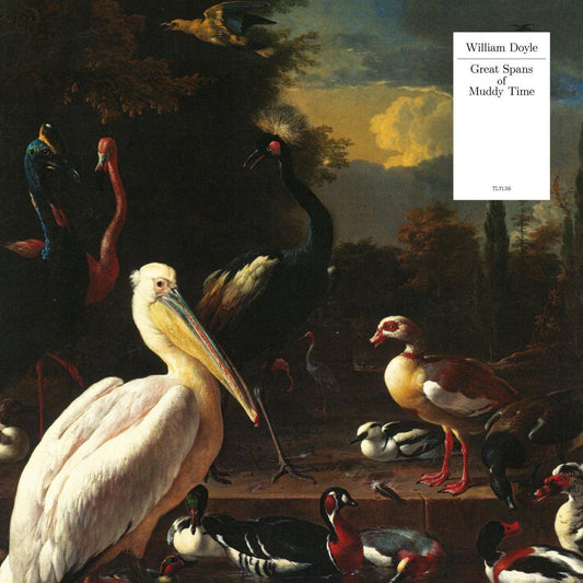 William Doyle - Great Spans Of Muddy Time (White Vinyl) (LP) - Joco Records