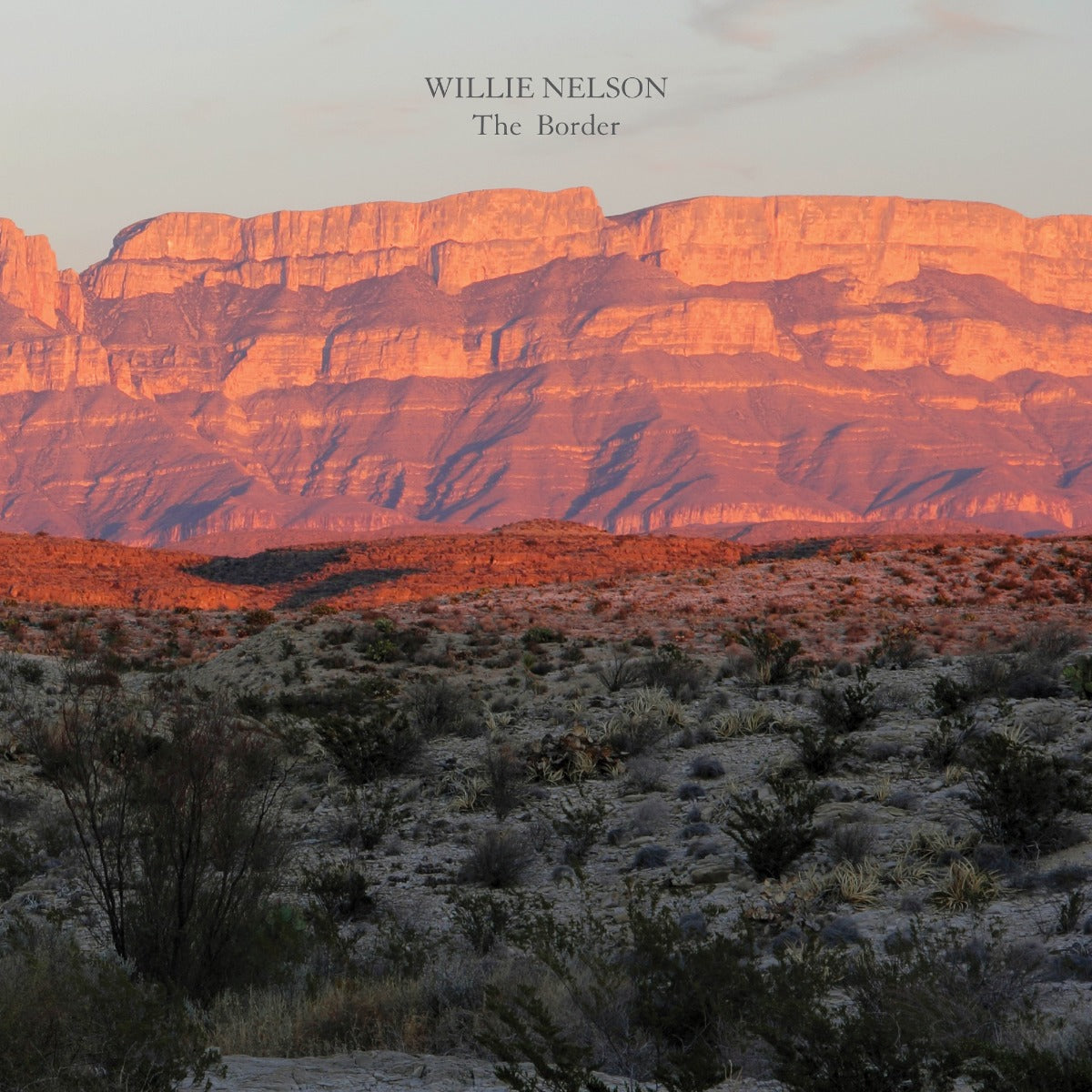 Willie Nelson - The Border (Vinyl) - Joco Records